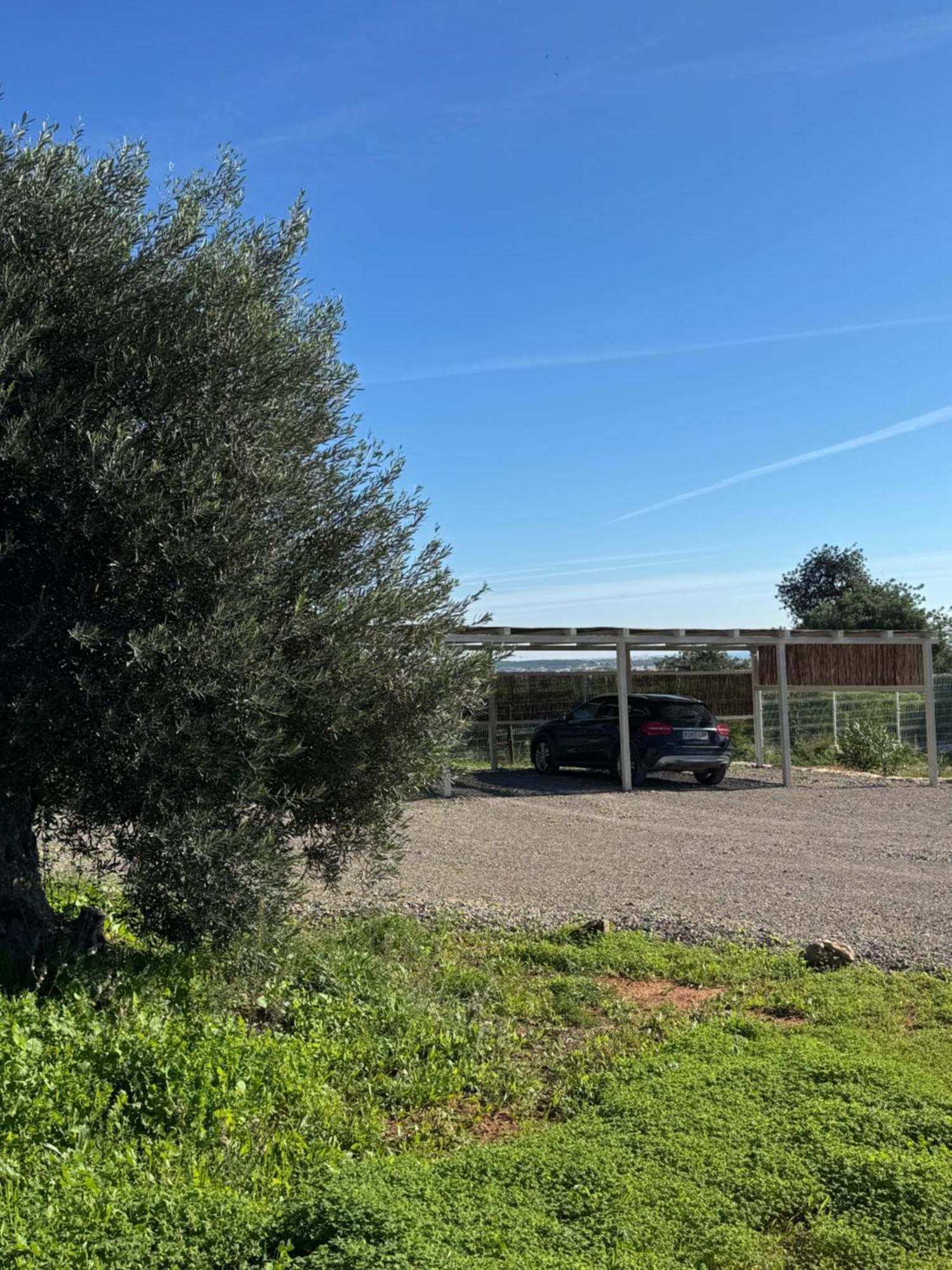 维拉诺瓦德卡塞拉Quinta Castor别墅 外观 照片