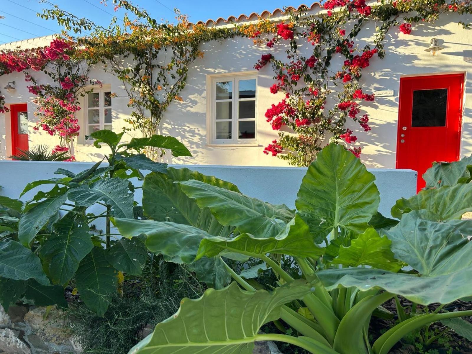 维拉诺瓦德卡塞拉Quinta Castor别墅 外观 照片